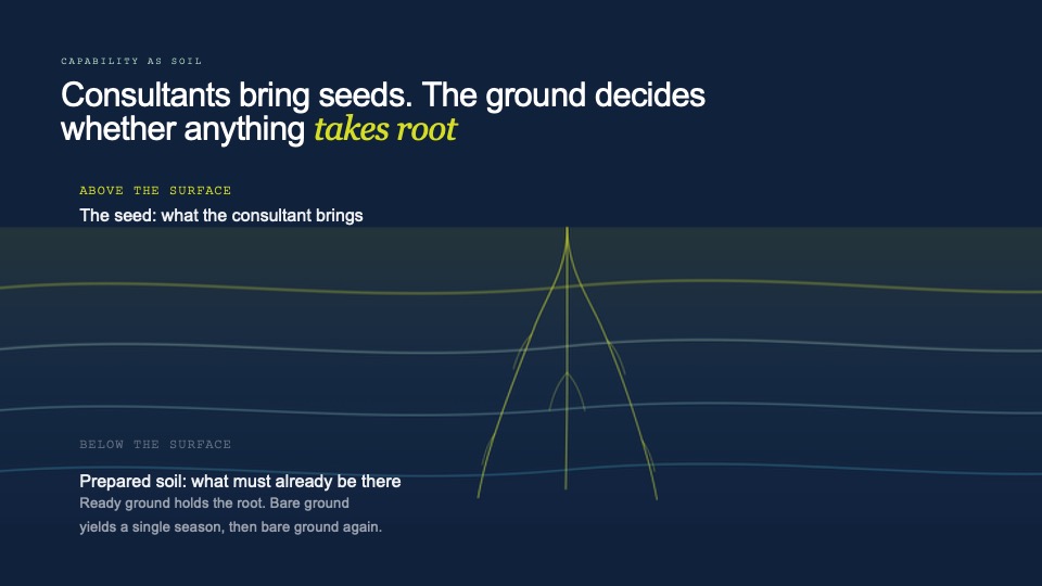 Slide: capability as soil — the consultant brings the seed above the surface, but the prepared ground below the surface decides whether anything takes root; bare ground yields a single season